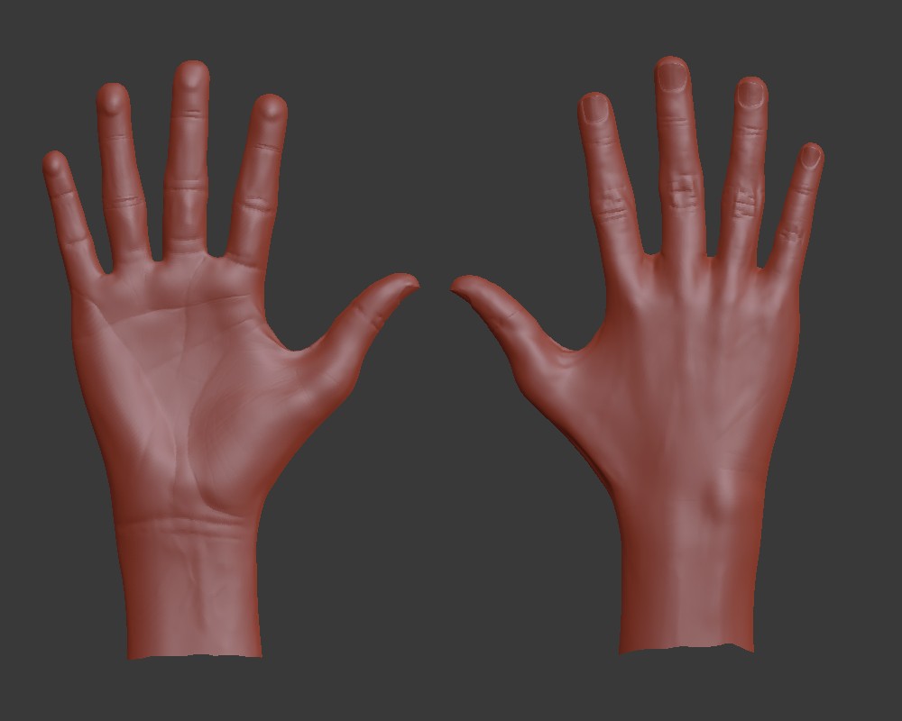 Detailed High-Poly Hand preview image 1